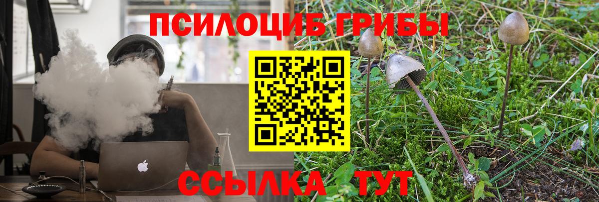 Петропавловск-Камчатский  Галлюциногенные грибы GOLDEN TEACHER  Вход с VPN 